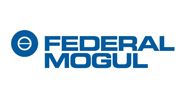 Federal mogul